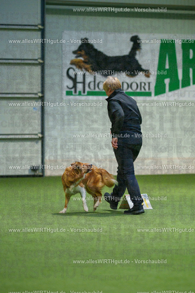 7R505489 | Professionelle Tierfotografie in Mönchengladbach von Daniel Wirth (allesWIRTHgut). Liebevolle & natürliche Bilder von Hunden & Katzen für unvergessliche Erinnerungen.