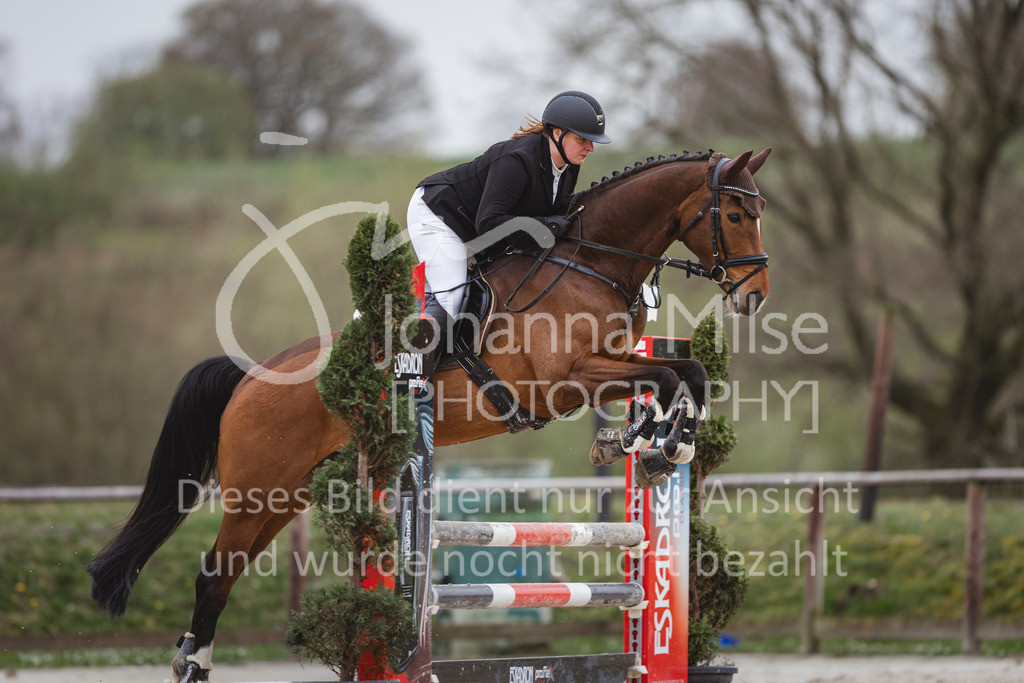 240330_Fruehlingsfest_Stil-A2-2-745 | Deine schönsten Turniermomente als professionelle Fotos! Entdecke hochwertige Pferdesport-Fotografie im Online-Shop. Jetzt Fotos finden & bestellen!