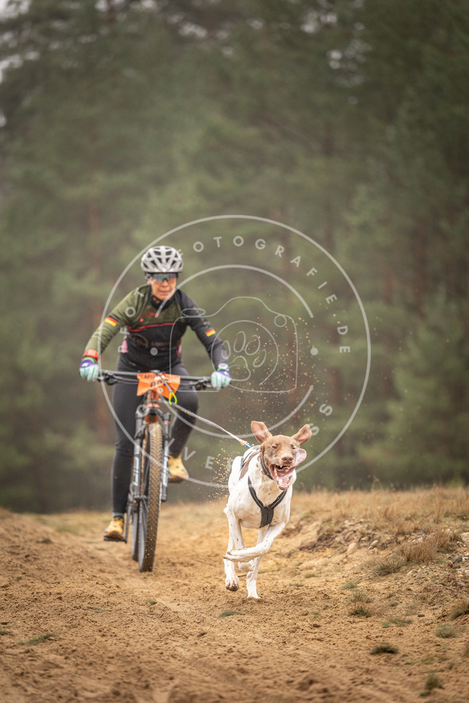 Pfotenfotografie_DV3A3123 | Hundefotografie, Tierfotograf, Pfotenfotografie, Fotoshooting Hund, Hunde Portrait, Hundesport, Hundeportraits, Heideshooting, Hunde, Sportfotograf, Hundefotograf, Turnierhundsport, THS,  - Realisiert mit Pictrs.com