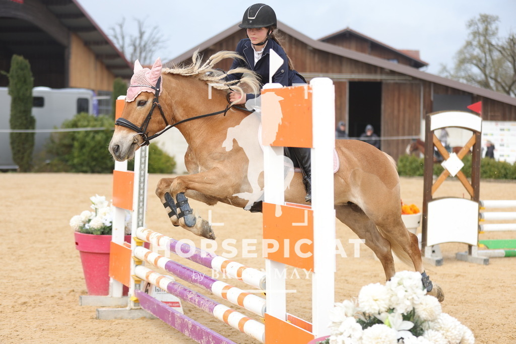 0P6A9007 | Willkommen bei Brunnmayr - Design & Fotografie – Ihrem Spezialisten für Reitturniere und Pferdeveranstaltungen in Oberösterreich, Salzburg und Bayern! Seit über 17 Jahren sind wir leidenschaftlich dabei.