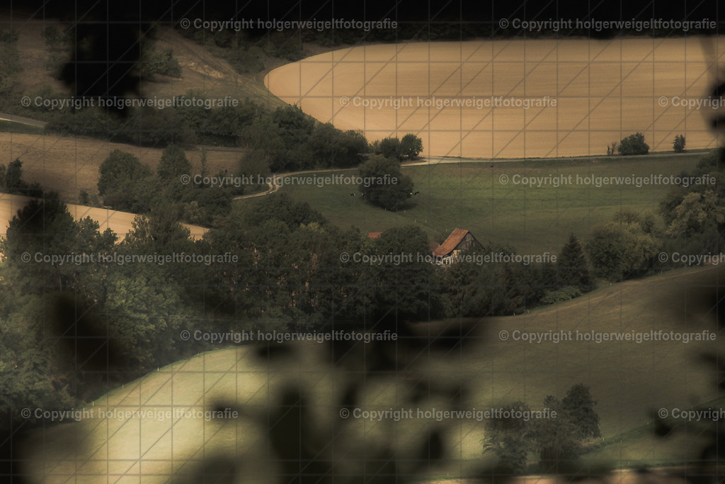 Feldkiecker | Kaufen sie online außergewöhnliche Fotografien auf Leinwand Acrylglas Fotoprint Aludibond von holgerweigeltfotografie - Realisiert mit Pictrs.com