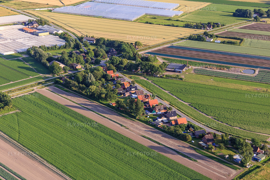 Luftbild: Ortsansicht von Nordwesten im Ortsteil Schülperweide in Schülp im Bundesland Schleswig-Holstein in Deutschland. – Foto: IMG_0007337.jpg vom 10.07.2021 durch Werner Riehm/FLY-FOTO.de – Auflösung des Originals: 5472 x 3648 px