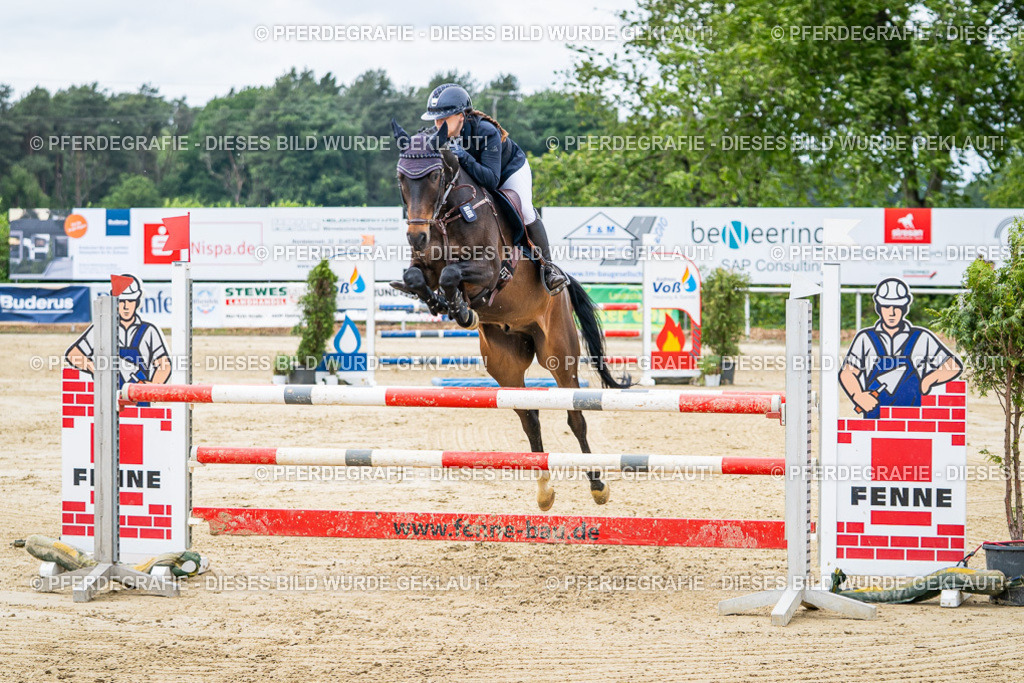 DSC05066 | Pferdegrafie