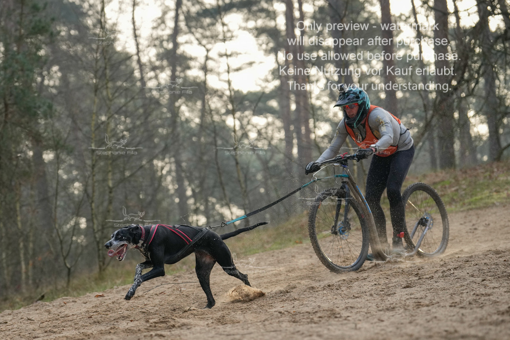 Scooter1-104 | stephaniefillaphotographie - Realisiert mit Pictrs.com