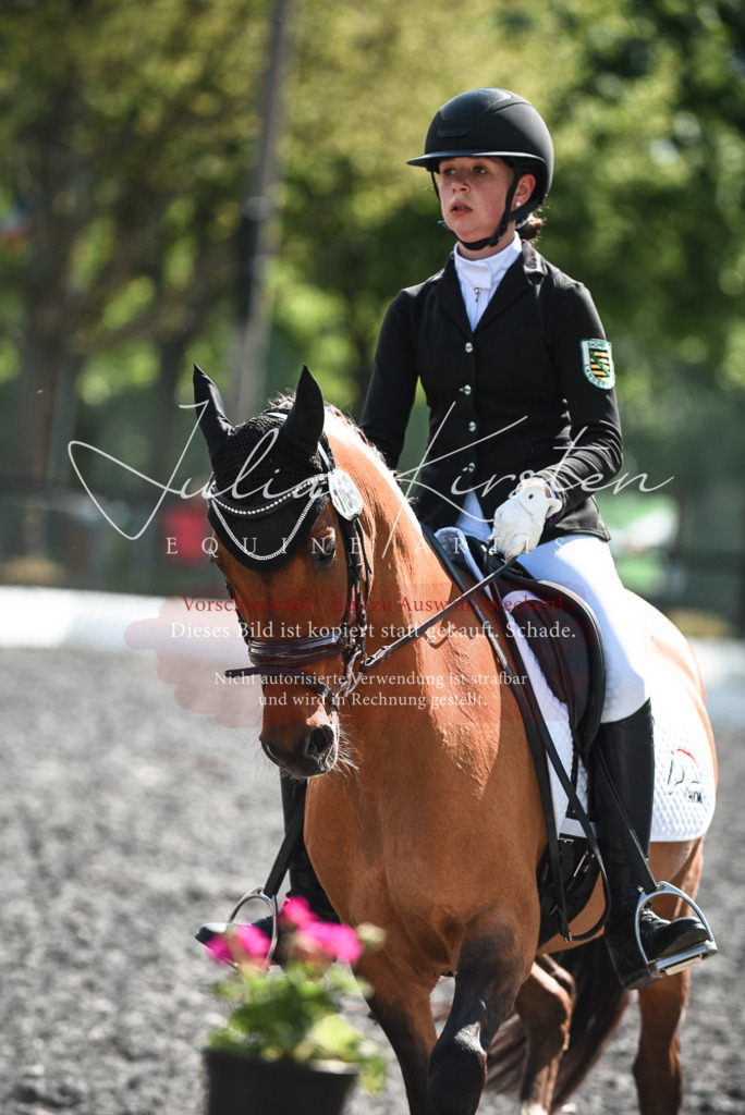 DSC_8992 | Pferde- und Turnierfotografie in Westsachsen. Pferdeportraits, Auftragszeichnungen und intuitive Kunst.