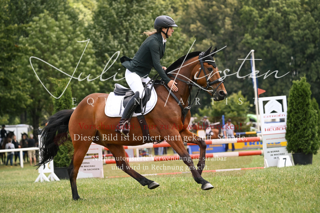 DSC_9153 | Pferde- und Turnierfotografie in Westsachsen. Pferdeportraits, Auftragszeichnungen und intuitive Kunst.