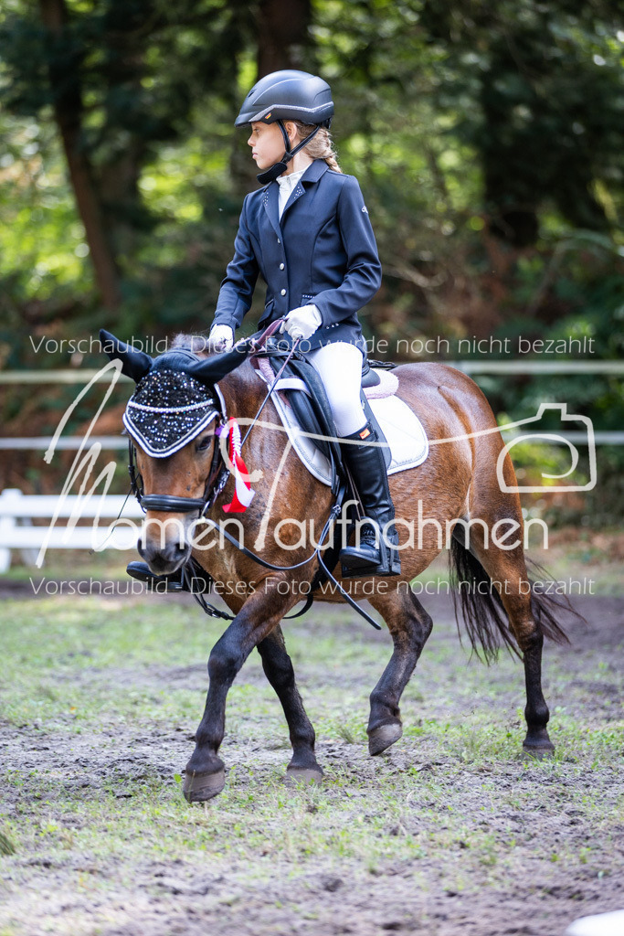 HB-Reiter-WB-100 | MomenTaufnahmen Pferdesportfotos