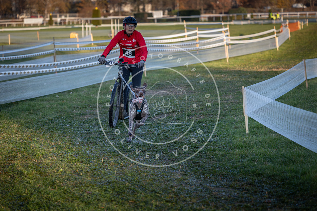 CaniXpix_0L8A2525 | Hundefotografie, Tierfotograf, Pfotenfotografie, Fotoshooting Hund, Hunde Portrait, Hundesport, Hundeportraits, Heideshooting, Hunde, Sportfotograf, Hundefotograf, Turnierhundsport, THS,  - Realisiert mit Pictrs.com