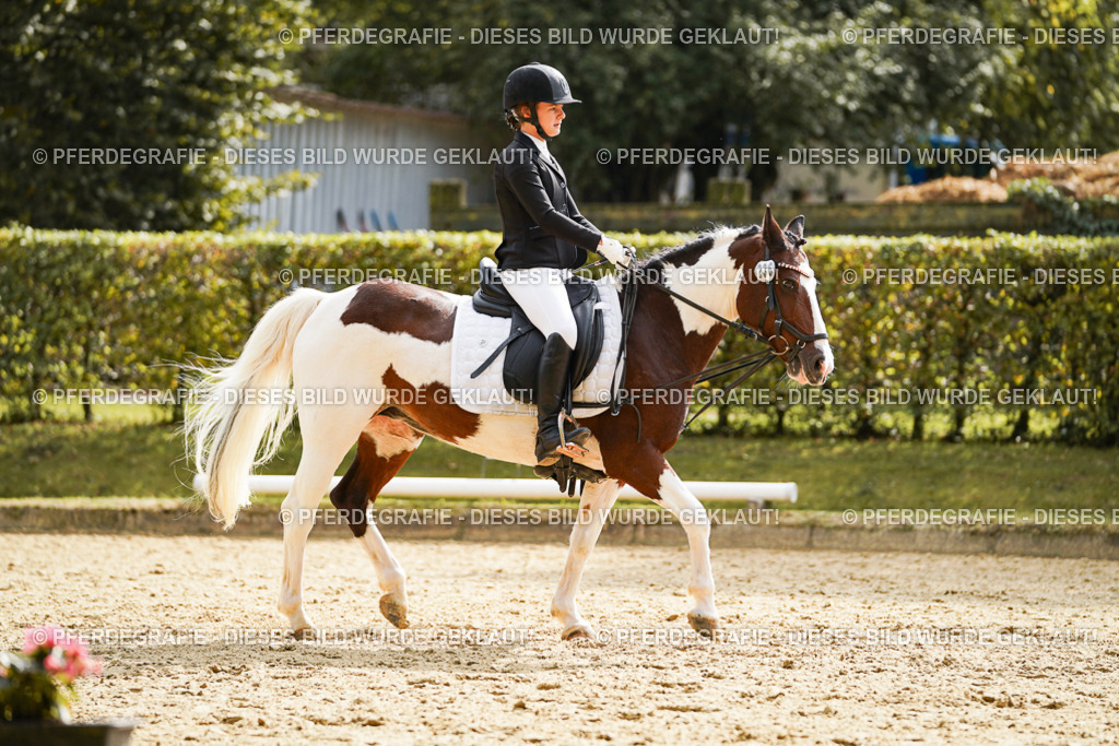 DSC01399 | Pferdegrafie