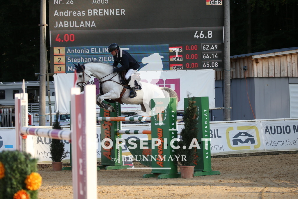 DL2Q6282 | Willkommen bei Brunnmayr - Design & Fotografie – Ihrem Spezialisten für Reitturniere und Pferdeveranstaltungen in Oberösterreich, Salzburg und Bayern! Seit über 17 Jahren sind wir leidenschaftlich dabei.