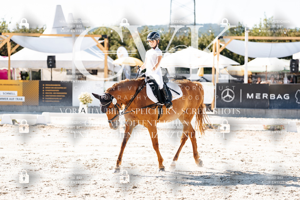 CK903278 | Turnierfotografie Pferdefotografie Trier Rheinland-Pfalz Pferdesport Reitsport Tierfotografie Sportfotografie Pferdevideo Pferdevideografie Equestrianvideography equestrianphotography  - Realisiert mit Pictrs.com