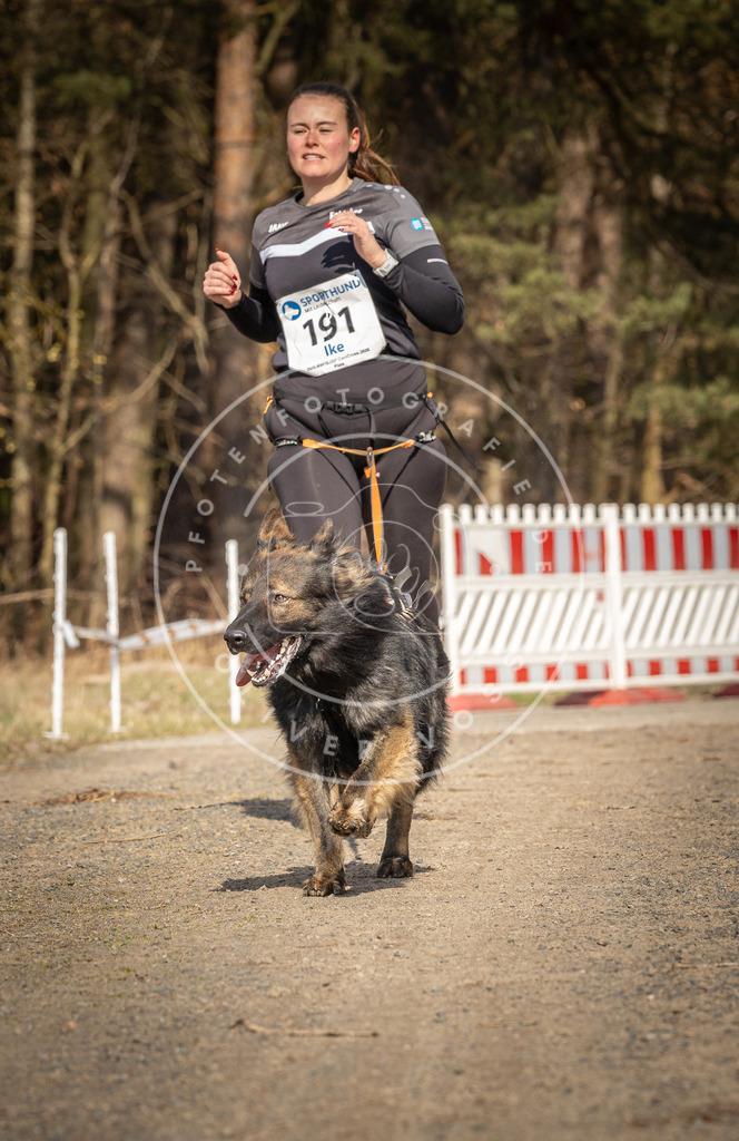 DV3A5746 | Hundefotografie, Tierfotograf, Pfotenfotografie, Fotoshooting Hund, Hunde Portrait, Hundesport, Hundeportraits, Heideshooting, Hunde, Sportfotograf, Hundefotograf, Turnierhundsport, THS,  - Realisiert mit Pictrs.com