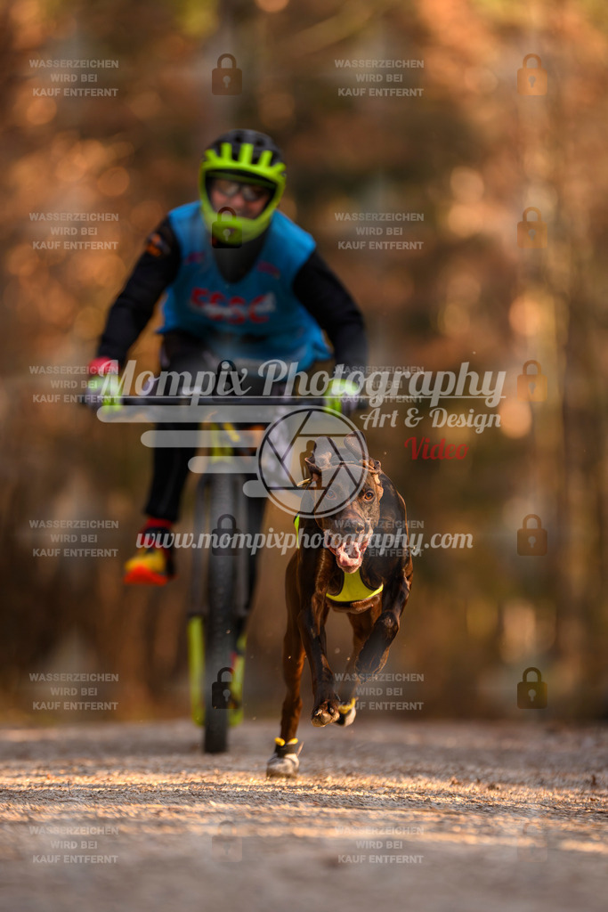 MompixPhotography_DM_AKDM_SO_2025_Scooter-159 | PayLife
