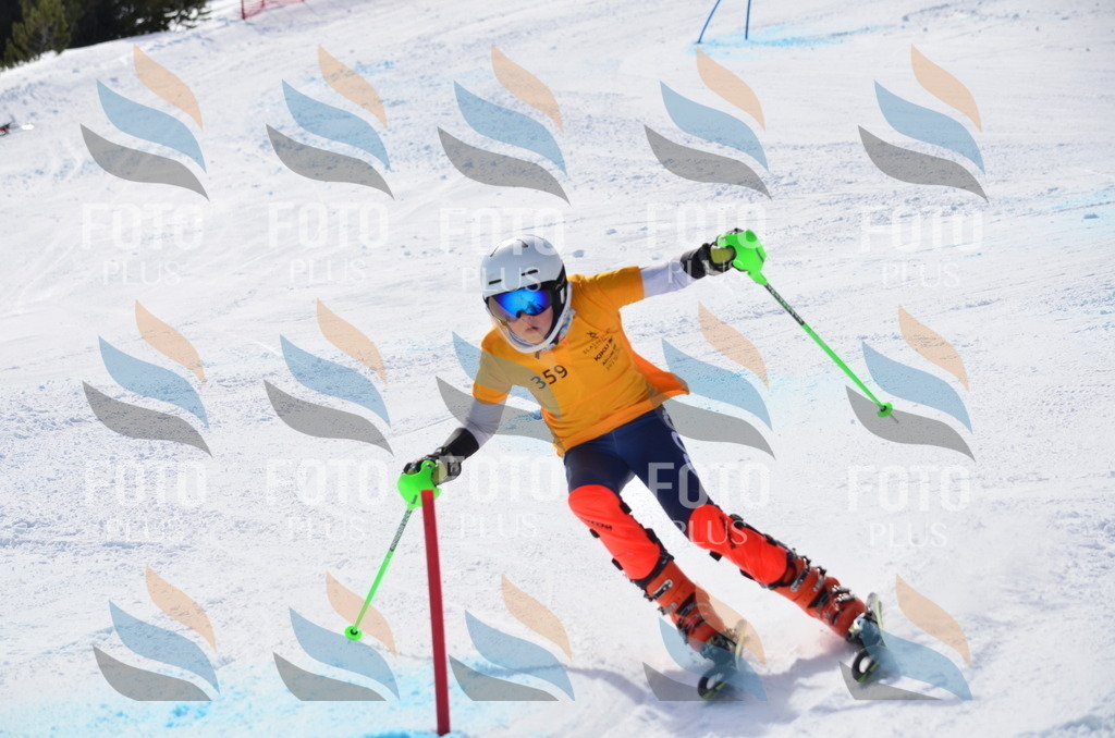 C9840 | holidayphoto