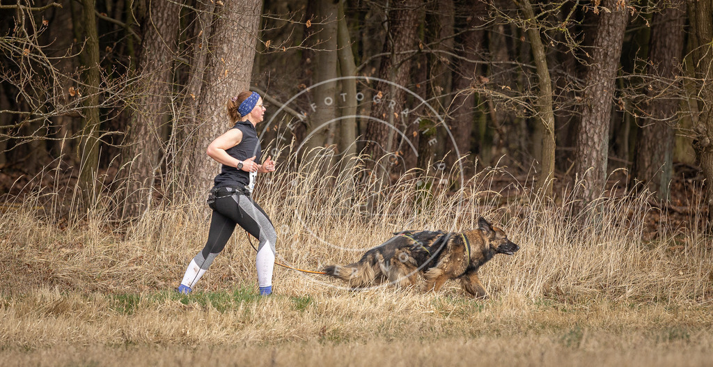DV3A4205 | Hundefotografie, Tierfotograf, Pfotenfotografie, Fotoshooting Hund, Hunde Portrait, Hundesport, Hundeportraits, Heideshooting, Hunde, Sportfotograf, Hundefotograf, Turnierhundsport, THS,  - Realisiert mit Pictrs.com