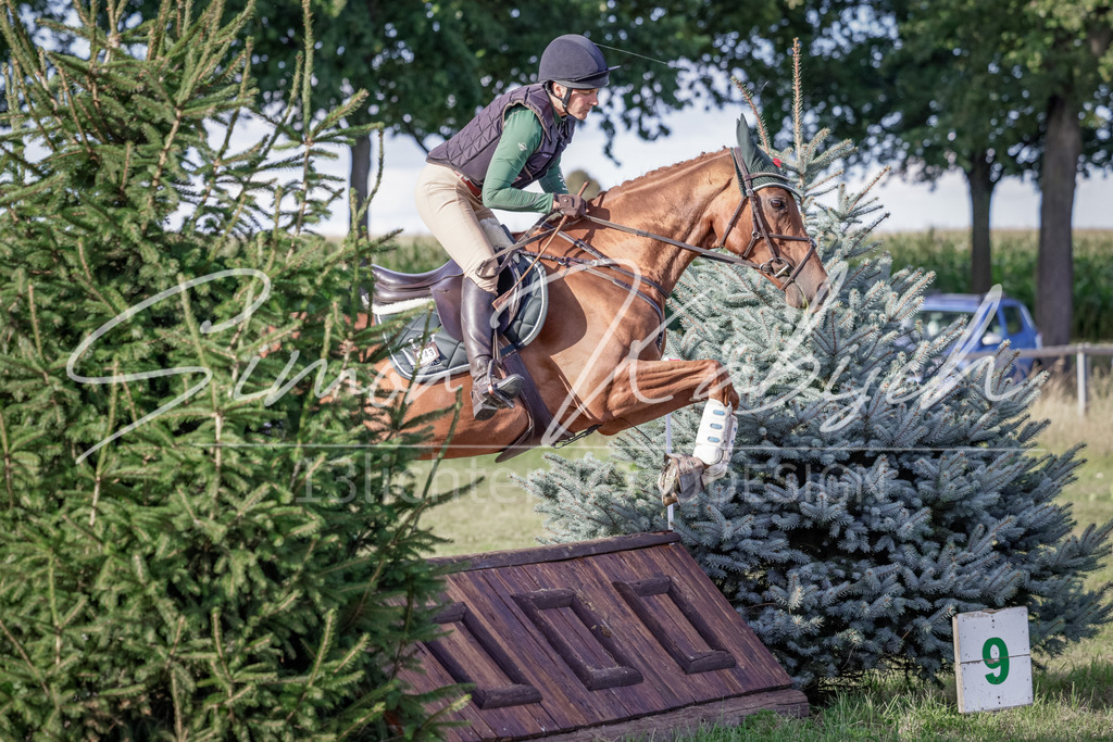 20250906-_3LI7678 | Tierfotografie Pferde, Hunde, Katzen, Haustiere.
Turnierfotografie Reitturniere, Reiten, Springreiten, Dressur in Hanau, dem Main-Kinzig-Kreis und dem Rhein-Main- Gebiet um Frankfurt