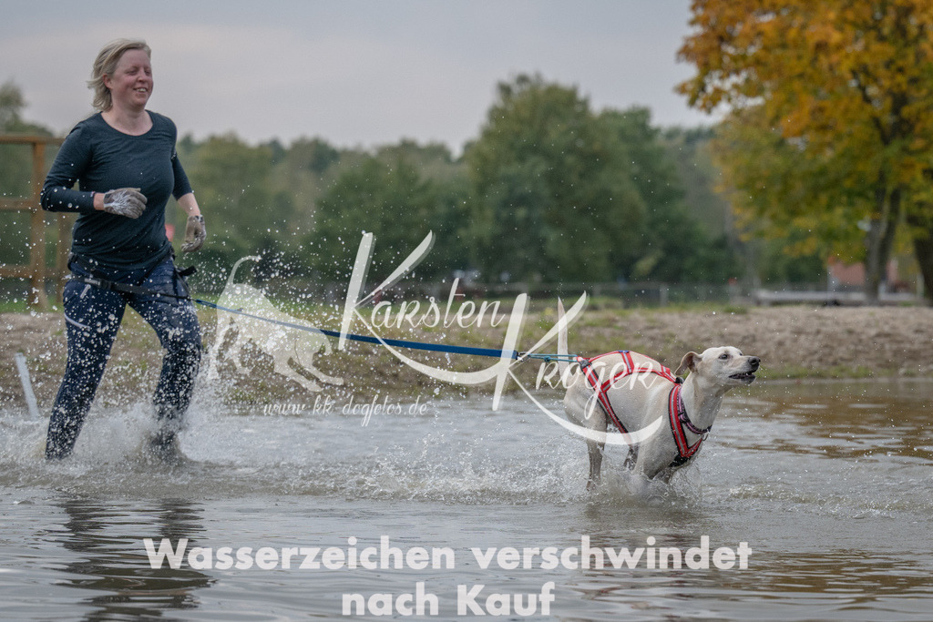 1504_ZZ93023 | kk-dogfotos