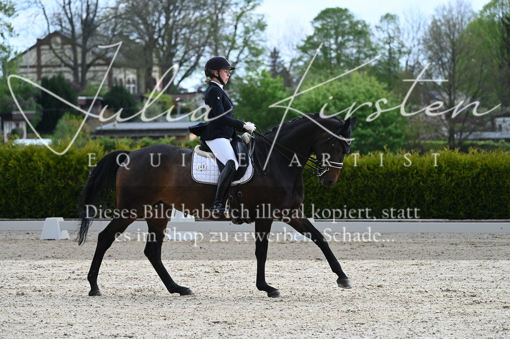 20230512_JK-Röhrsdorf-05-045 | Pferde- und Turnierfotografie in Westsachsen. Pferdeportraits, Auftragszeichnungen und intuitive Kunst.