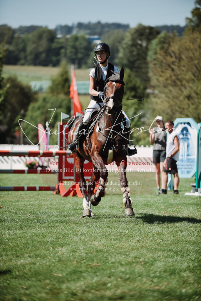 DSC_3173 | Pferde- und Turnierfotografie in Westsachsen. Pferdeportraits, Auftragszeichnungen und intuitive Kunst.