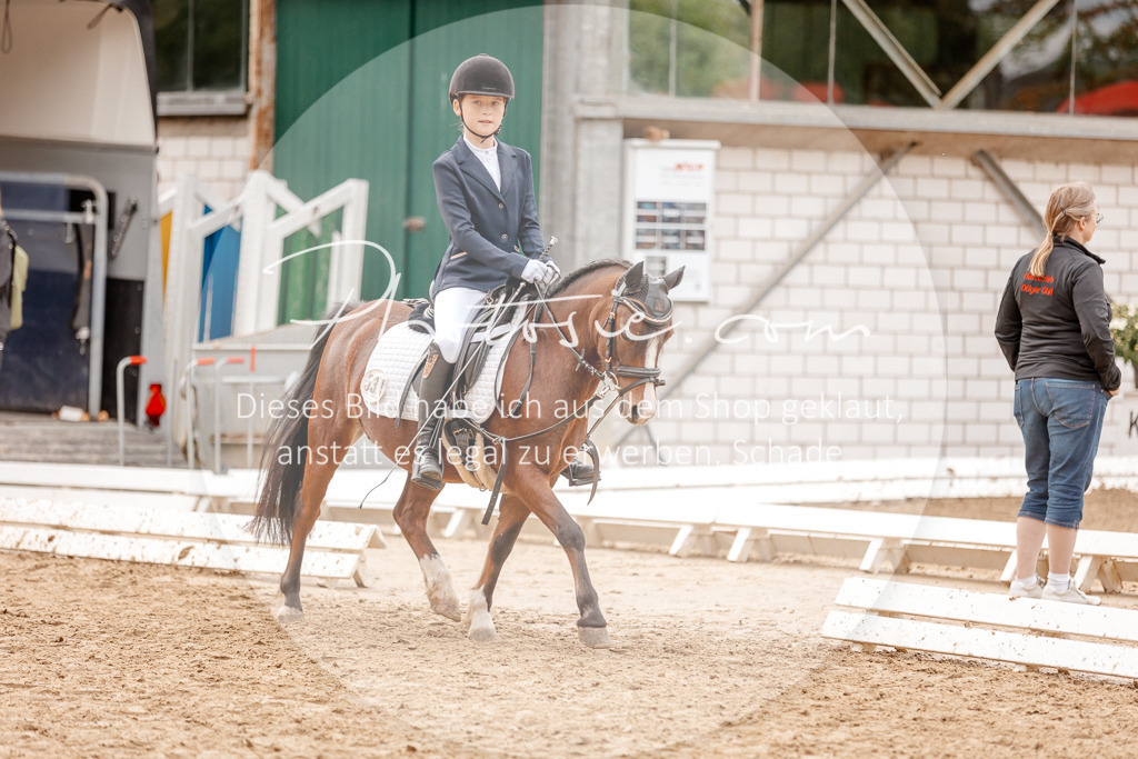 3I6A8420 | Stimmungsvolle Portraits und Reitsportfotografie im Ruhrgebiet und im Münsterland.

Pferdefotografie, Hundefotografie, Tierfotografie, Reportagen, Portraits von Tier und Mensch, Turnierfotografie in Bochum, Recklinghausen, Marl, Haltern am See, Dülmen.. - Realisiert mit Pictrs.com