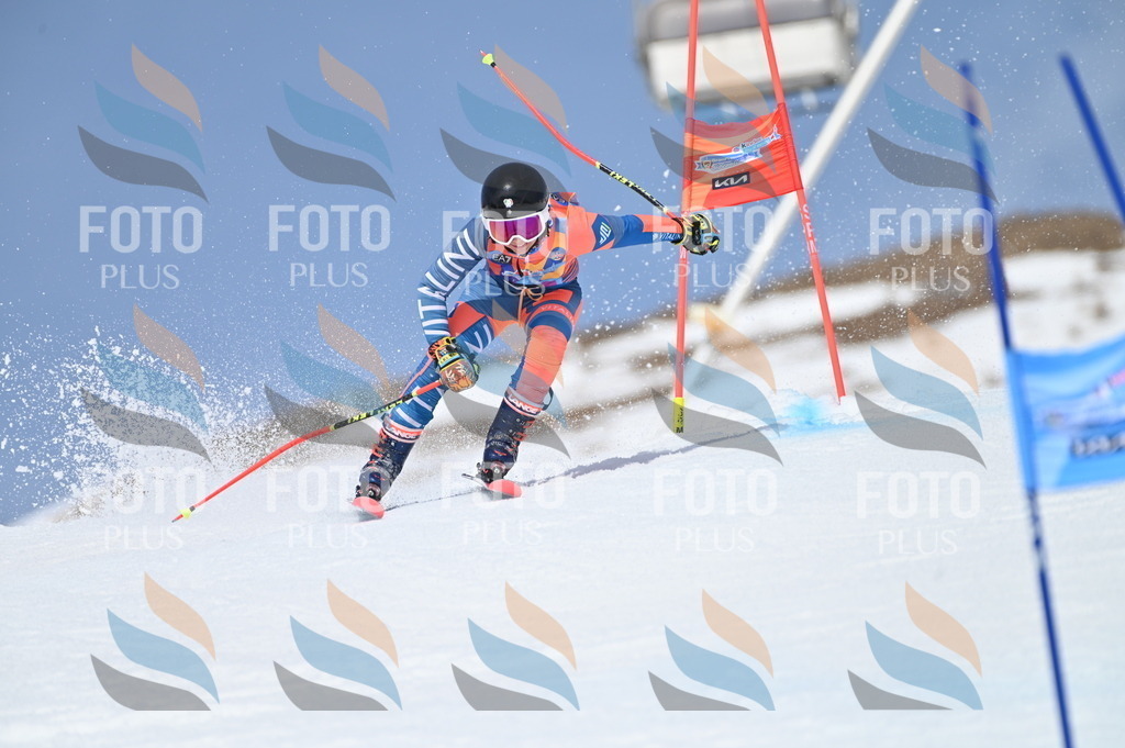 BGV_3050 | holidayphoto