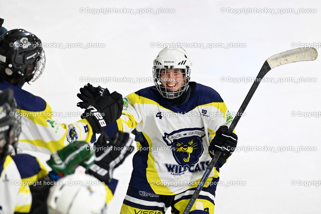 LADY HAWKS vs. WILDCATS PATERNION | #4 Oberzaucher Christina WILDCATS PATERNION, LADY HAWKS vs. WILDCATS PATERNION, LADY HAWKS vs. WILDCATS PATERNION am 12.03.2025 in Steindorf (Ossiachersee Halle), Austria, (Photo by Bernd Stefan)