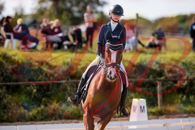 2026_10_03_Siefer-Hof_123413_Z81_31965337 | Professionelle Reitsport-, Turnier- und Eventfotografie von Robert Broda. Galerien mit ausgewählten und bearbeiteten Bildern direkt online ansehen und bestellen.