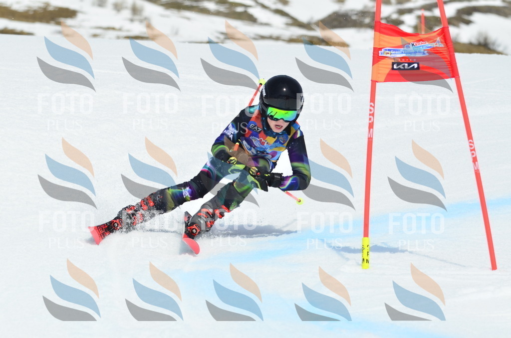 _ELE2640 | holidayphoto