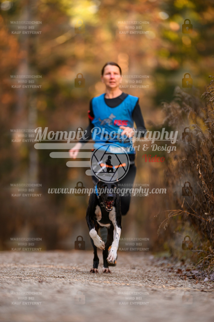 MompixPhotography_DM_AKDM_SO_2025_-48 | PayLife