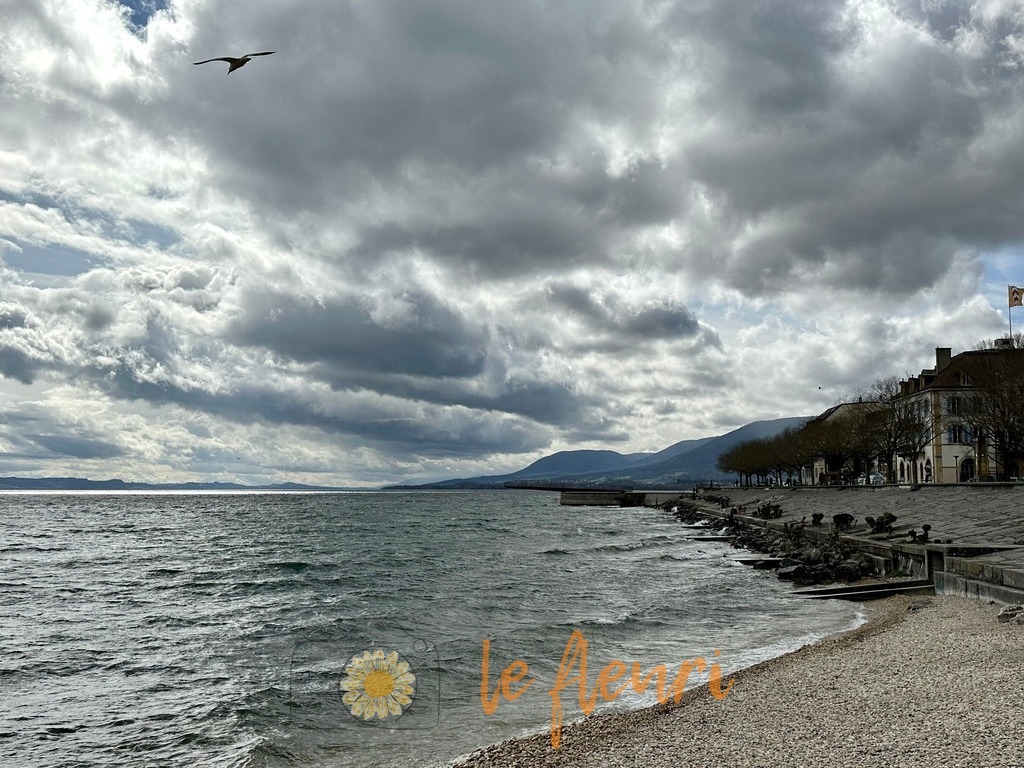 80614B8E-16E7-45F6-9CA8-E0B6C0B83B50 | Dies ist der Shop von Florian Blum - le fleuri. Langenthal, Bern, SchweizSie können hier meine oder ihre eigenen Fotos als Fotoprodukte kaufen. Tassen, Schlüsselanhänger, Taschen etc. können Sie hier gestalten.  - Realisiert mit Pictrs.com