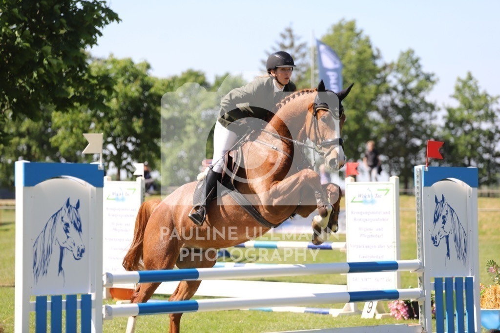 IMG_6082 | Pauline Ullmann Photography - Realisiert mit Pictrs.com