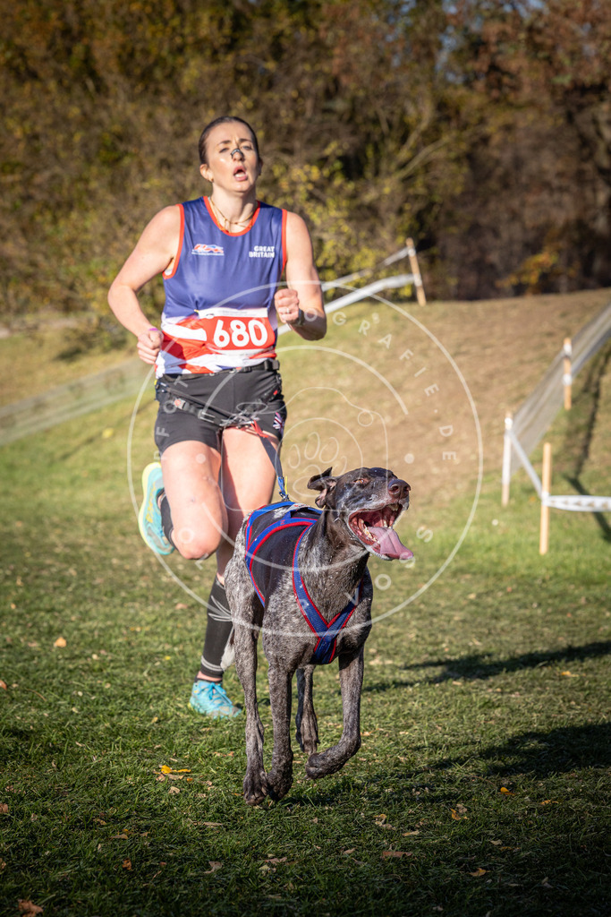 CaniXpix_0L8A9280 | Hundefotografie, Tierfotograf, Pfotenfotografie, Fotoshooting Hund, Hunde Portrait, Hundesport, Hundeportraits, Heideshooting, Hunde, Sportfotograf, Hundefotograf, Turnierhundsport, THS,  - Realisiert mit Pictrs.com