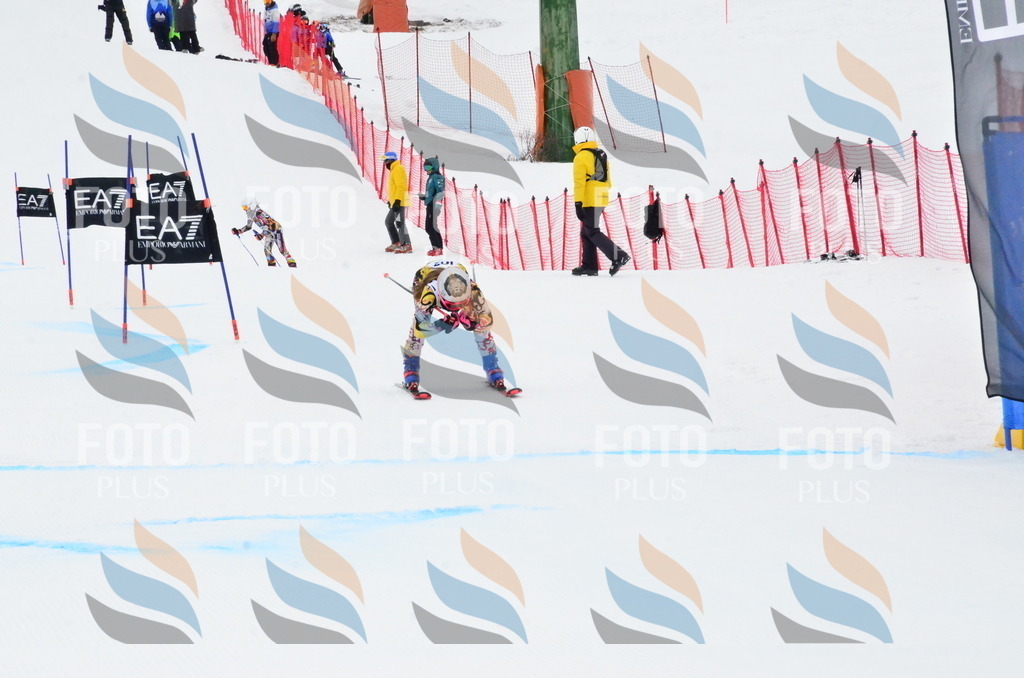 _ELE3542 | holidayphoto