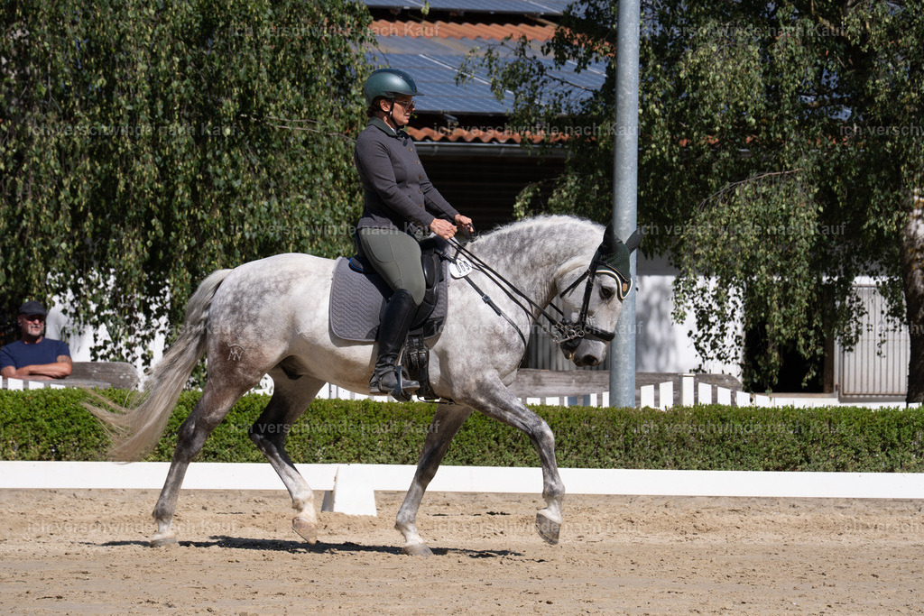 WL_DR_69_sinafilmart_IN07230 | working equitationturnier fotograf videograf stoibphotography marixx film working equitation deutschland reitsport turnierfotografie eventfotografie equestrian events
