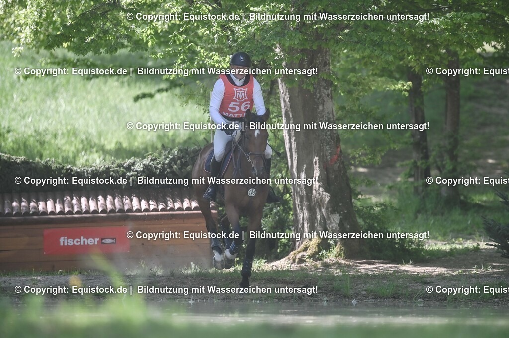 20250517_CCI2_Gelände_1448 | Foto: Thomas Hartig