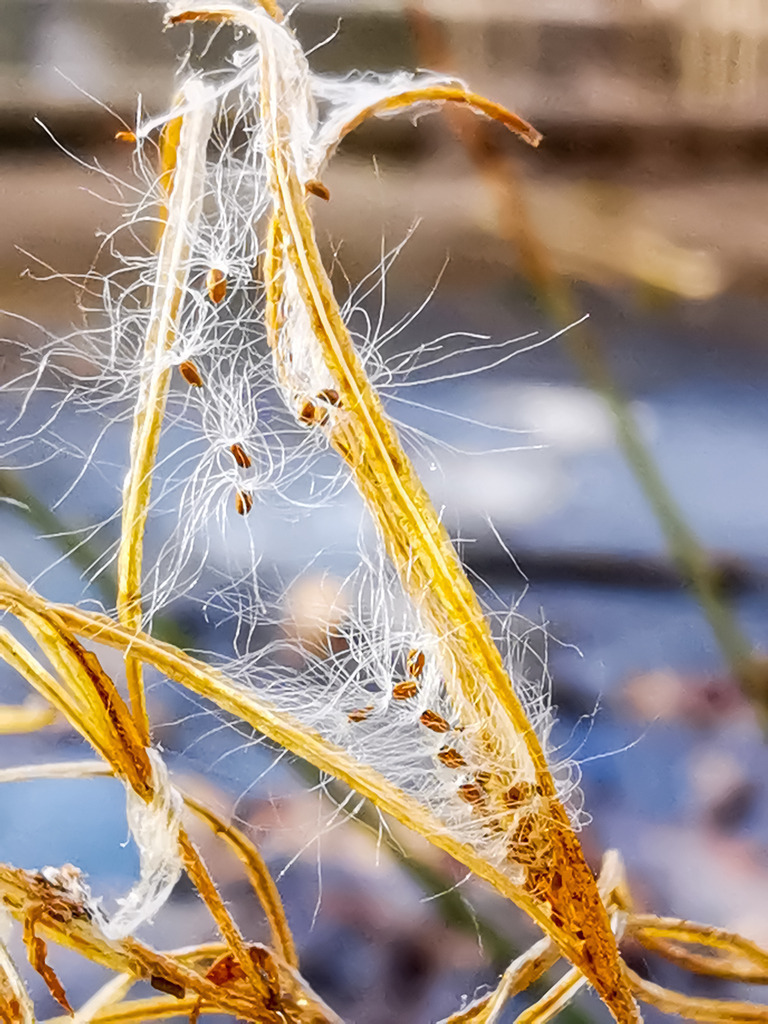 PSX_20230216_225007 | mtkfoto_ - Realisiert mit Pictrs.com