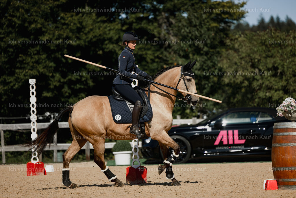 Diana11_FHC2025-27513 | working equitationturnier fotograf videograf stoibphotography marixx film working equitation deutschland reitsport turnierfotografie eventfotografie equestrian events