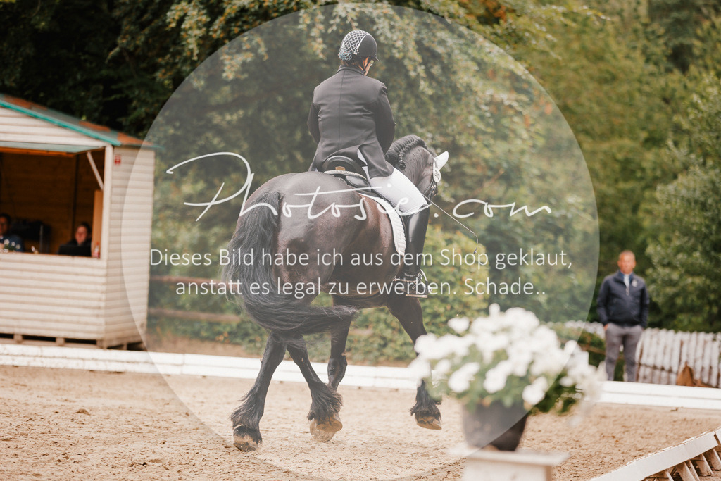 3I6A7752 | Stimmungsvolle Portraits und Reitsportfotografie im Ruhrgebiet und im Münsterland.

Pferdefotografie, Hundefotografie, Tierfotografie, Reportagen, Portraits von Tier und Mensch, Turnierfotografie in Bochum, Recklinghausen, Marl, Haltern am See, Dülmen.. - Realisiert mit Pictrs.com