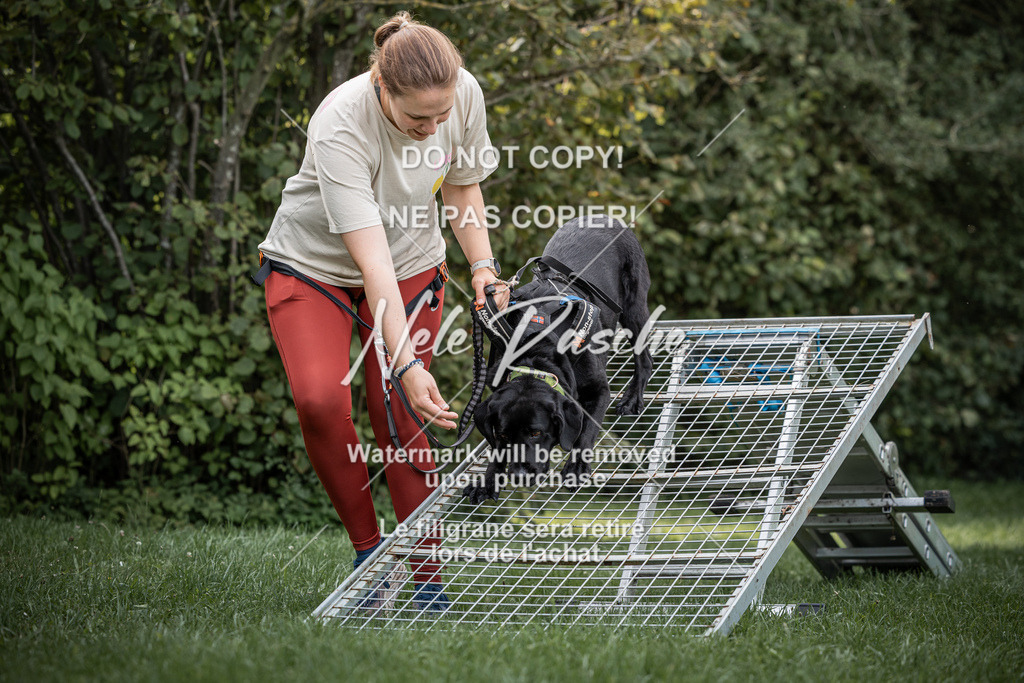 nelerasche_SoLauf_133 | nelerasche