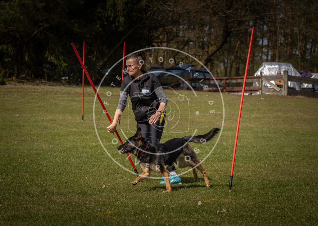 Pfotenfotografie_DV3A4224 | Hundefotografie, Tierfotograf, Pfotenfotografie, Fotoshooting Hund, Hunde Portrait, Hundesport, Hundeportraits, Heideshooting, Hunde, Sportfotograf, Hundefotograf, Turnierhundsport, THS,  - Realisiert mit Pictrs.com