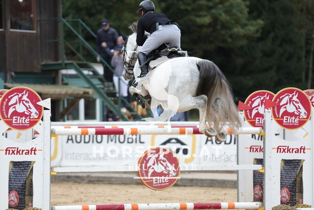0P6A4681 | Willkommen bei Brunnmayr - Design & Fotografie – Ihrem Spezialisten für Reitturniere und Pferdeveranstaltungen in Oberösterreich, Salzburg und Bayern! Seit über 17 Jahren sind wir leidenschaftlich dabei.