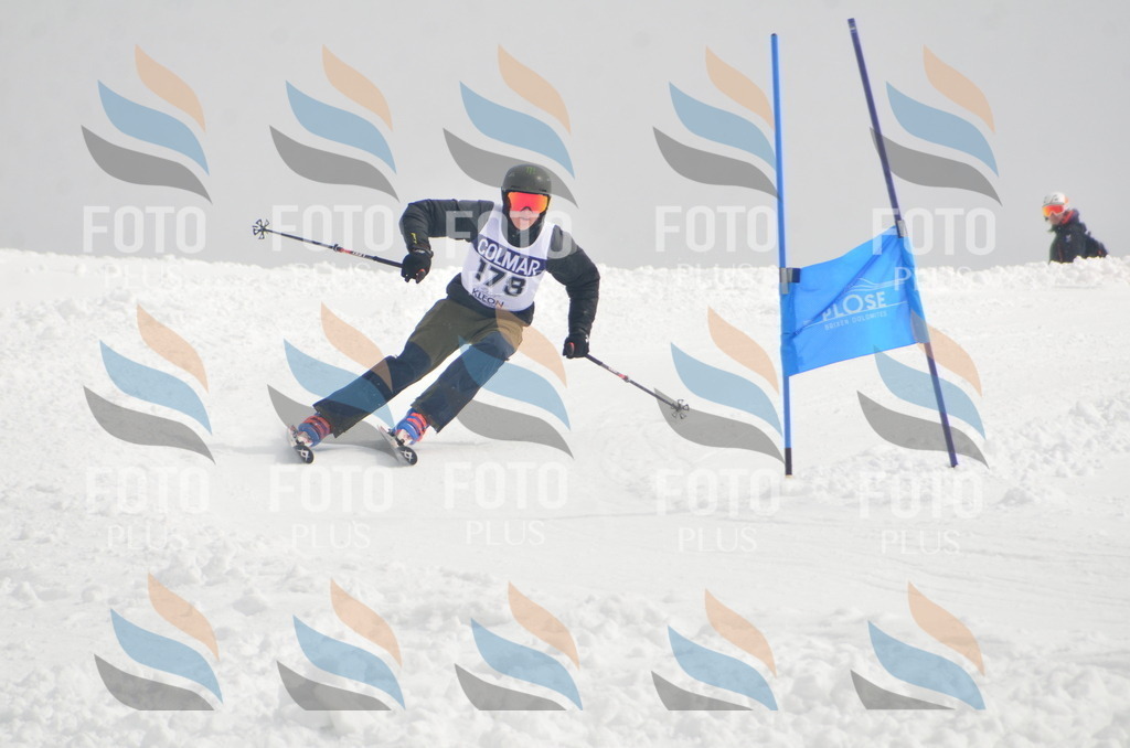 A5643 | holidayphoto