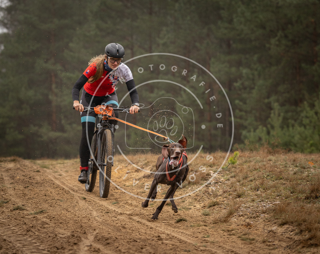 Pfotenfotografie_DV3A2434 | Hundefotografie, Tierfotograf, Pfotenfotografie, Fotoshooting Hund, Hunde Portrait, Hundesport, Hundeportraits, Heideshooting, Hunde, Sportfotograf, Hundefotograf, Turnierhundsport, THS,  - Realisiert mit Pictrs.com