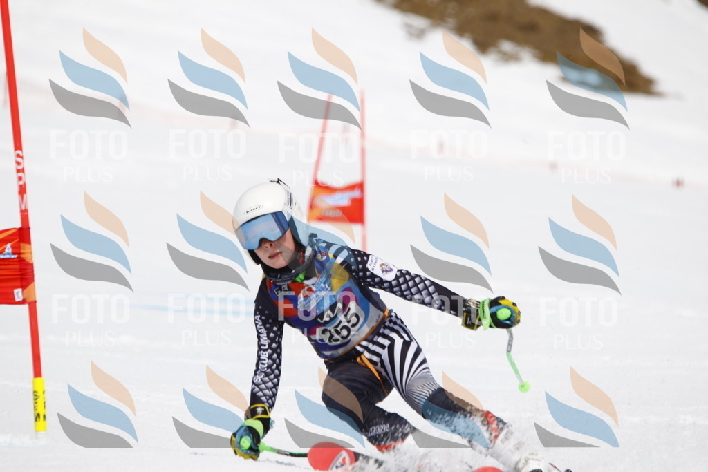 _U3G6414 | holidayphoto