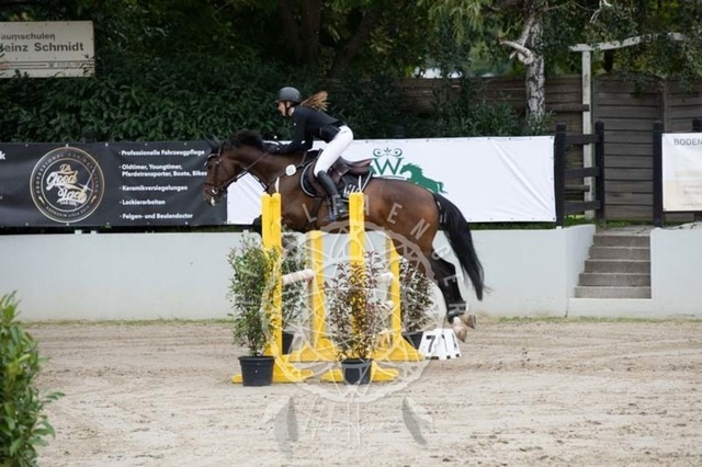 2B4A1645 | pixelfaenger - Realisiert mit Pictrs.com