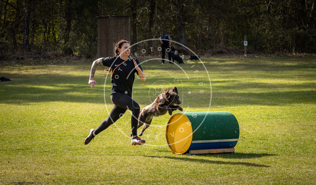 Pfotenfotografie_DV3A3011 | Hundefotografie, Tierfotograf, Pfotenfotografie, Fotoshooting Hund, Hunde Portrait, Hundesport, Hundeportraits, Heideshooting, Hunde, Sportfotograf, Hundefotograf, Turnierhundsport, THS,  - Realisiert mit Pictrs.com