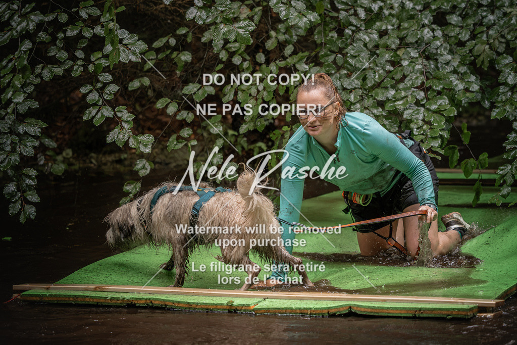 nelerasche_Wingst_Sa1330-1400_171 | nelerasche