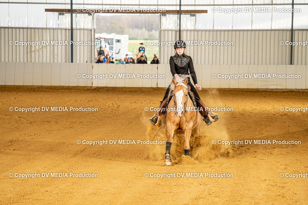 MIT00851 | dv-media-shop - Realisiert mit Pictrs.com