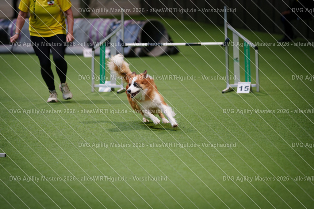 allesWIRTHgut_Tierfotografie-DVG_Agility_Masters_2026-08_13-7R509832 | Professionelle Tierfotografie in Mönchengladbach von Daniel Wirth (allesWIRTHgut). Liebevolle & natürliche Bilder von Hunden & Katzen für unvergessliche Erinnerungen.