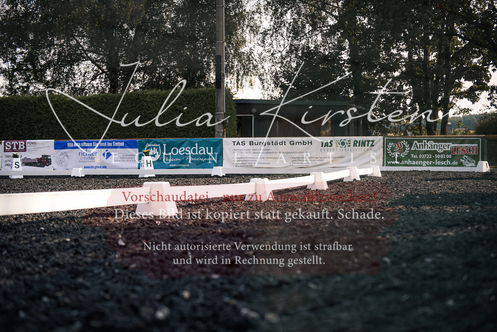 DSC_3248 | Pferde- und Turnierfotografie in Westsachsen. Pferdeportraits, Auftragszeichnungen und intuitive Kunst.